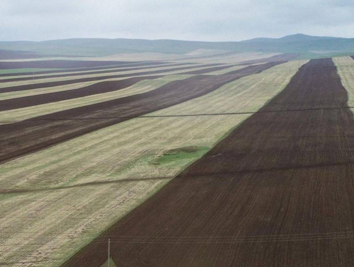 Улсын хэмжээнд хаврын тариалалт 73,4 хувьтай байна