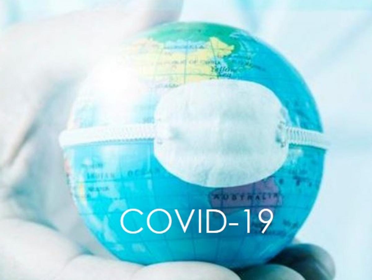 "COVID-19" халдварын тандалт судалгааны тойм