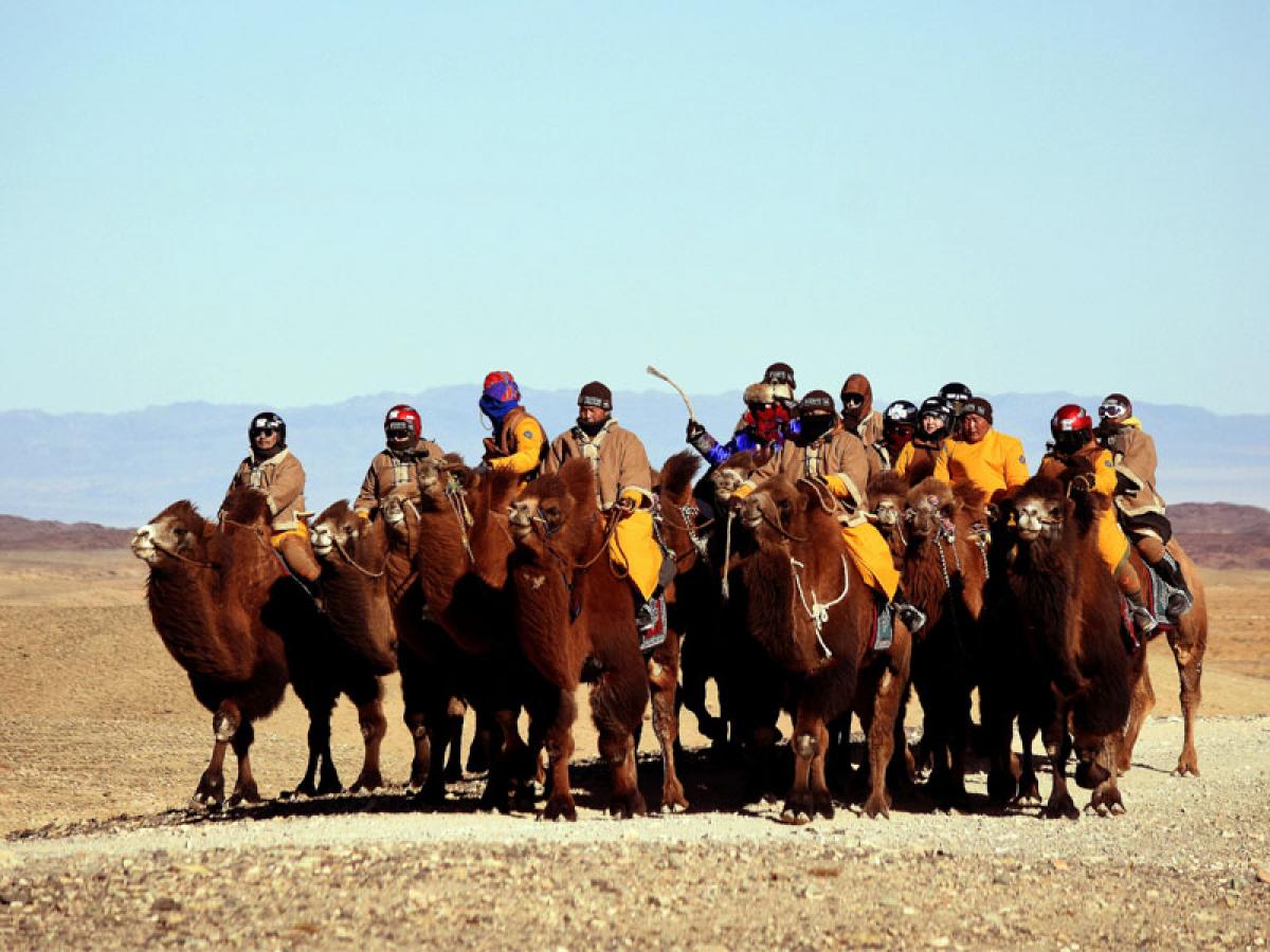 “Gobi challenge-2020” тэмээн аялал үзэгчдийн хүртээл болно