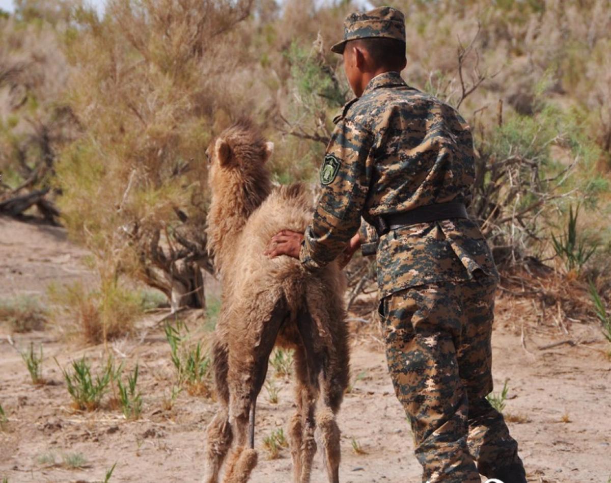 СУРАГГҮЙ АЛГА БОЛСОН АЛБА ХААГЧИЙГ ДӨРӨВ ДЭХ ӨДРӨӨ ЭРЭН ХАЙЖ БАЙНА