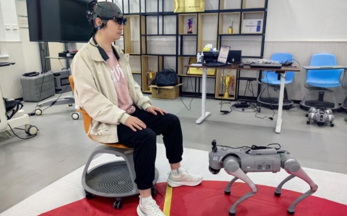 ХҮН БОДСОНООРОО УДИРДДАГ РОБОТ-НОХОЙ ЗОХИОН БҮТЭЭЖЭЭ