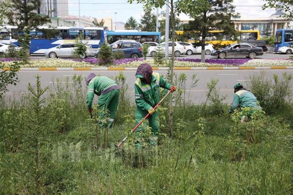 НИЙСЛЭЛИЙН  66 ГА ТАЛБАЙГ ЦЭЦЭРЛЭГЖҮҮЛНЭ