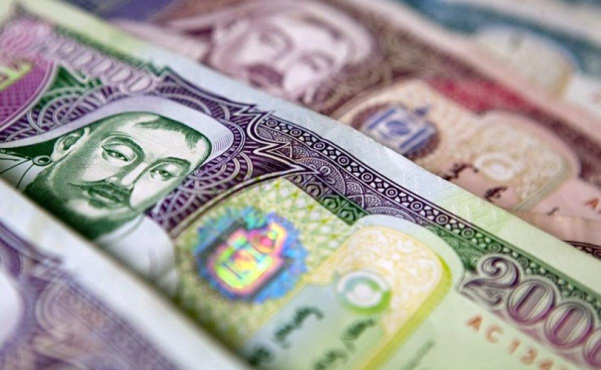 1072 ХУВЬЦААНЫ НОГДОЛ АШГИЙГ ЭНЭ САРД ОЛГОНО