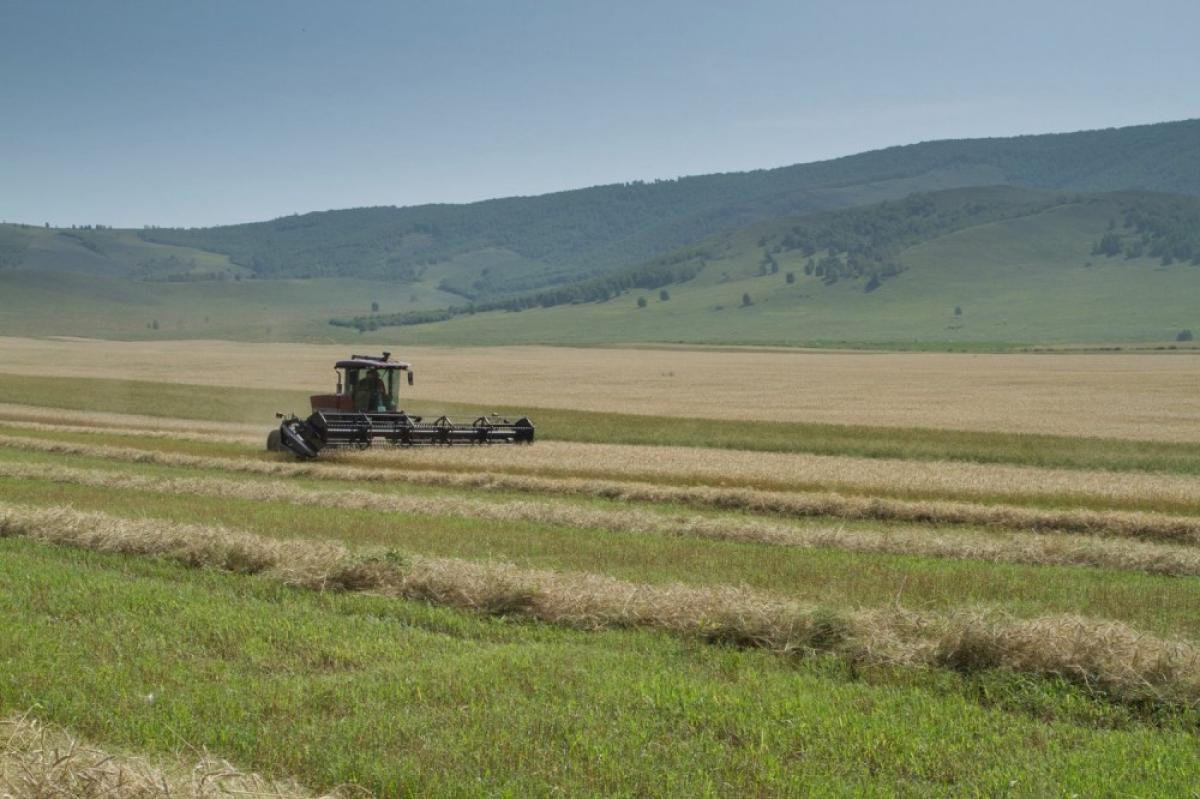 ГАЗАР ТАРИАЛАНЧДАА ДЭМЖИН АЖИЛЛАНА