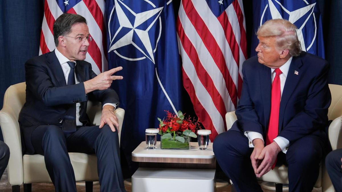 ТРАМП НАТО-ГИЙН ТАЛААР РЮТТЭД ЯМАР БАЙР СУУРЬ ИЛЭРХИЙЛЭХИЙГ ХЭВЛЭЛҮҮД ТААМАГЛАН АЖИГЛАЖ БАЙНА