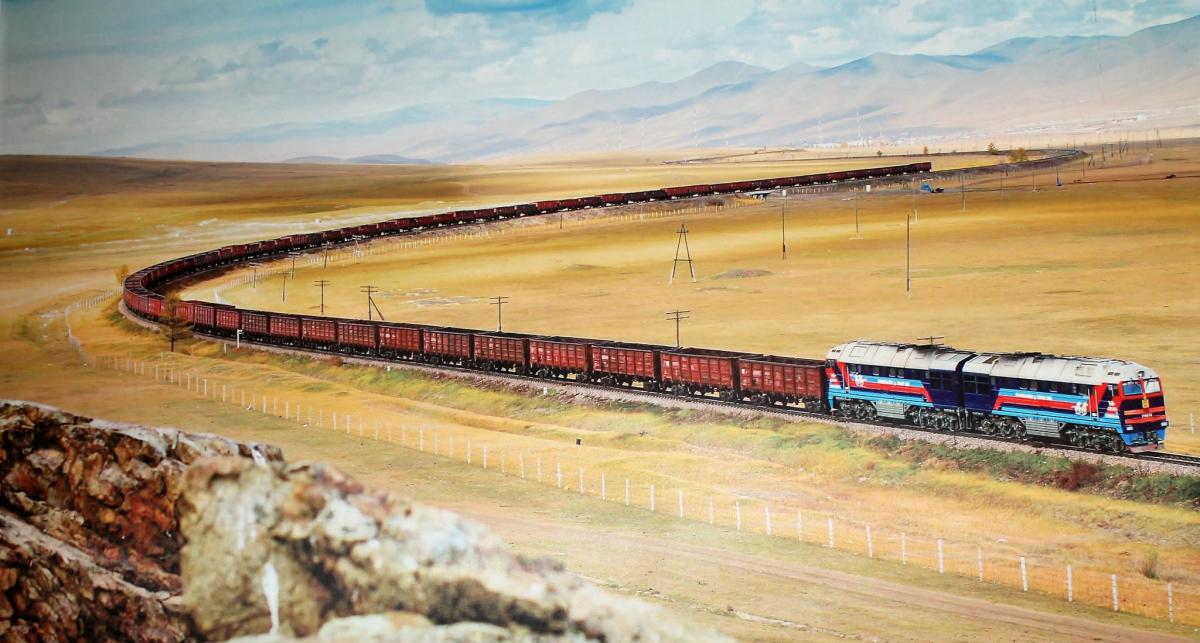 КОКСЖСОН ХӨХ НҮҮРСИЙГ ТЭЭВЭРЛЭЖ ДУУСАВ