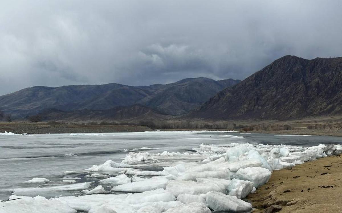 ТОМООХОН ГОЛ, МӨРНҮҮДЭД ЦӨН ТҮРЖ ЭХЭЛЖЭЭ