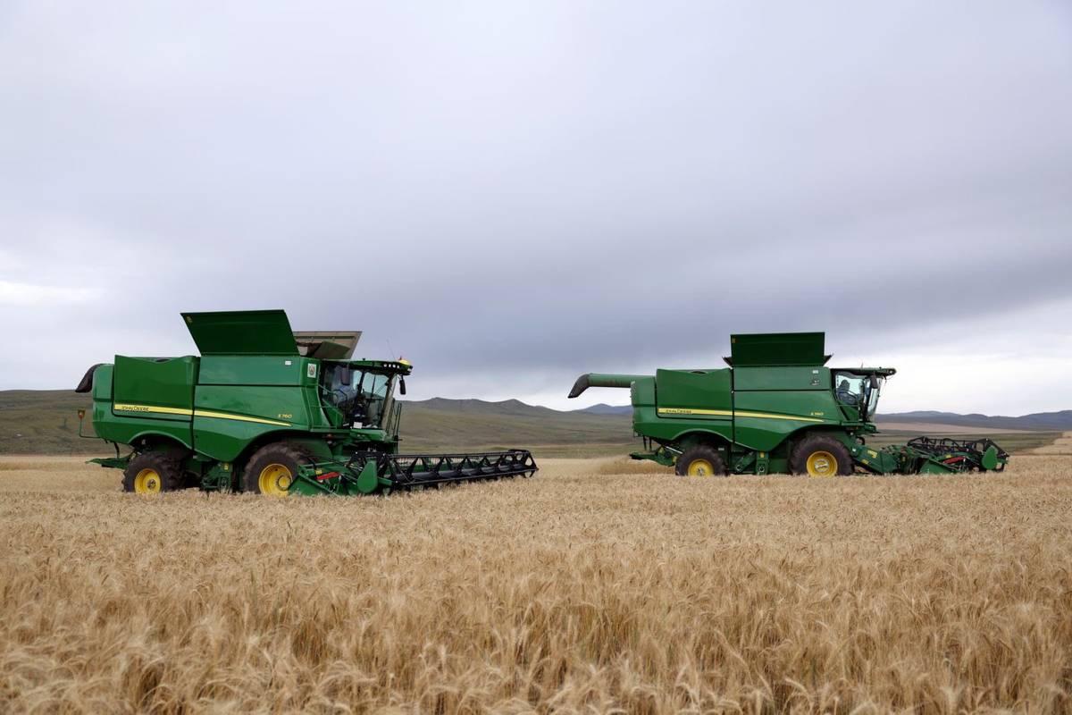 5250 ТОНН УЛААНБУУДАЙН ҮР ИМПОРТОЛЖ, ТАРИАЛАЛТАД БЭЛТГЭЖ БАЙНА