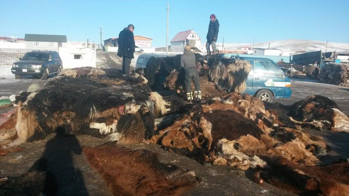 НООЛУУРЫН ХАНШ 200 МЯНГАН ТӨГРӨГ ДАВСАН