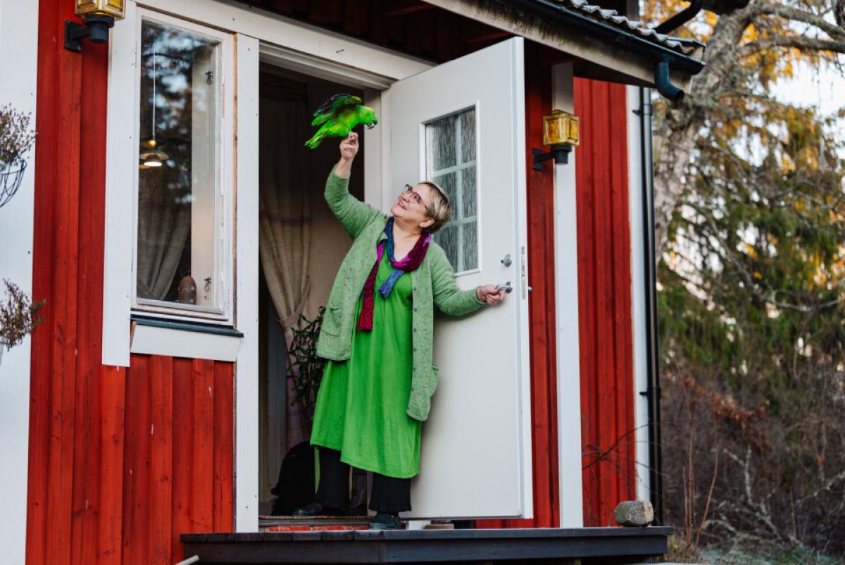 ЭЗЭНДЭЭ ГОМДСОН ТОТЬ 40 ЖИЛ ЭЗЭНТЭЙГЭЭ ЯРИХААС ТАТГАЛЗЖЭЭ