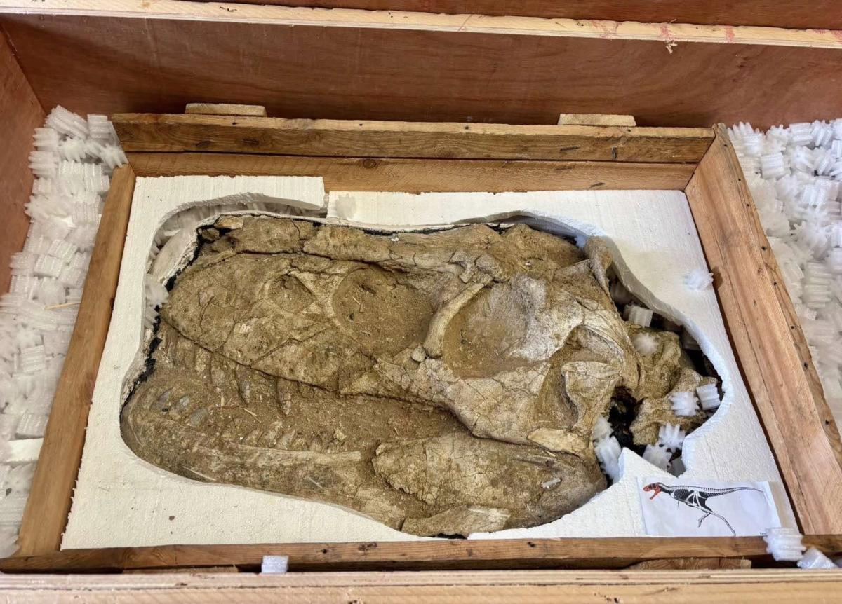 ҮЛЭГ ГҮРВЭЛИЙН ОЛДВОРУУДЫГ ЭХ ОРОНДОО ЭРГҮҮЛЭН АВЧИРНА