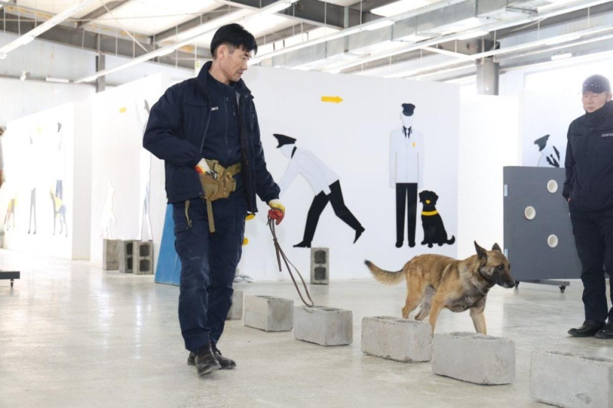 ЭРЭЛЧ НОХДЫГ ХАР ТАМХИ, ЗОХИОН БАЙГУУЛАЛТТАЙ ГЭМТ ХЭРЭГ ИЛРҮҮЛЭХ ЧИГЛЭЛЭЭР СУРГАЖЭЭ