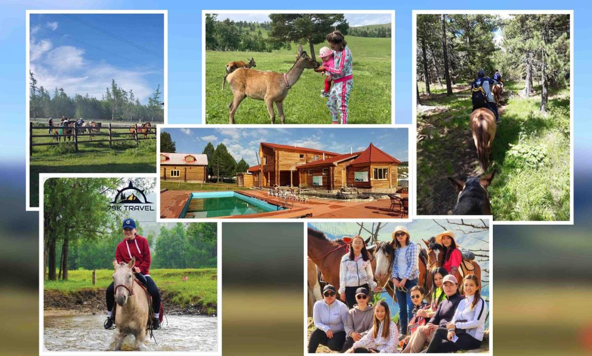 ДОТООДЫН АЯЛАЛ ЖУУЛЧЛАЛ 2.6 ИХ НАЯД ТӨГРӨГИЙН ЭДИЙН ЗАСГИЙН ЭРГЭЛТ БҮРДҮҮЛЖЭЭ