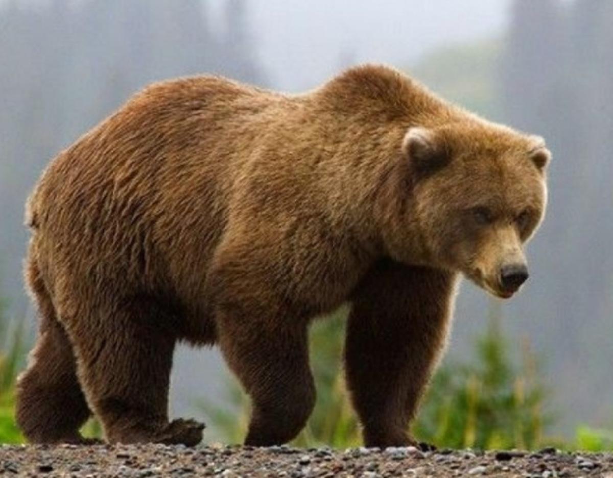 ОЙ, ХЭЭРИЙН 72 ГАЛ ТҮЙМРИЙГ УНТРААХ АЖИЛЛАГААГ ЗОХИОН БАЙГУУЛАВ