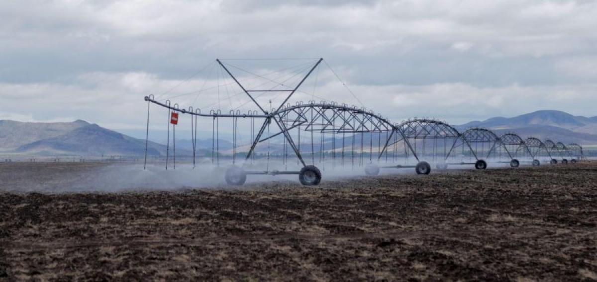 ХОЁР ТЭРБУМ ГАРУЙ ТӨГРӨГИЙН ТОНОГ ТӨХӨӨРӨМЖ ХҮЛЭЭЛГЭН ӨГЛӨӨ