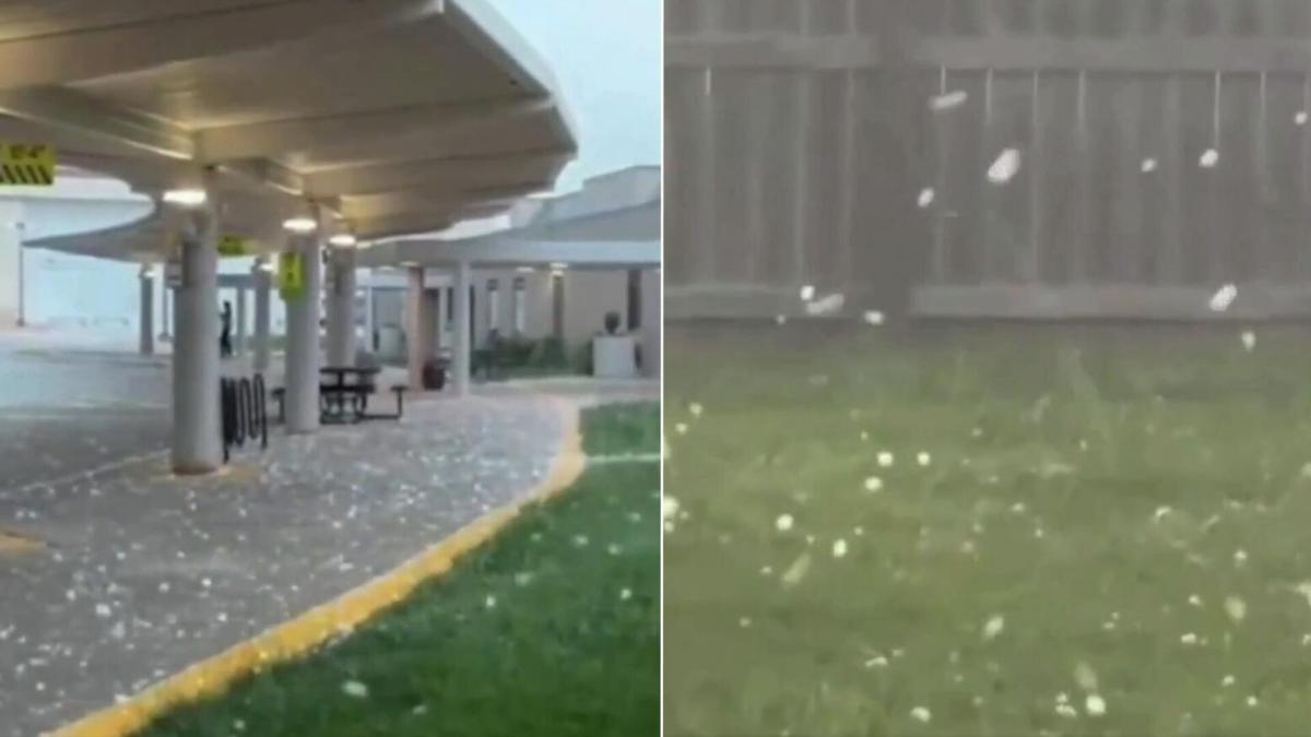 МИССУРИ МУЖИД БЕЙСБОЛЫН БӨМБӨГНИЙ ХЭМЖЭЭТЭЙ МӨНДӨР ОРЖЭЭ