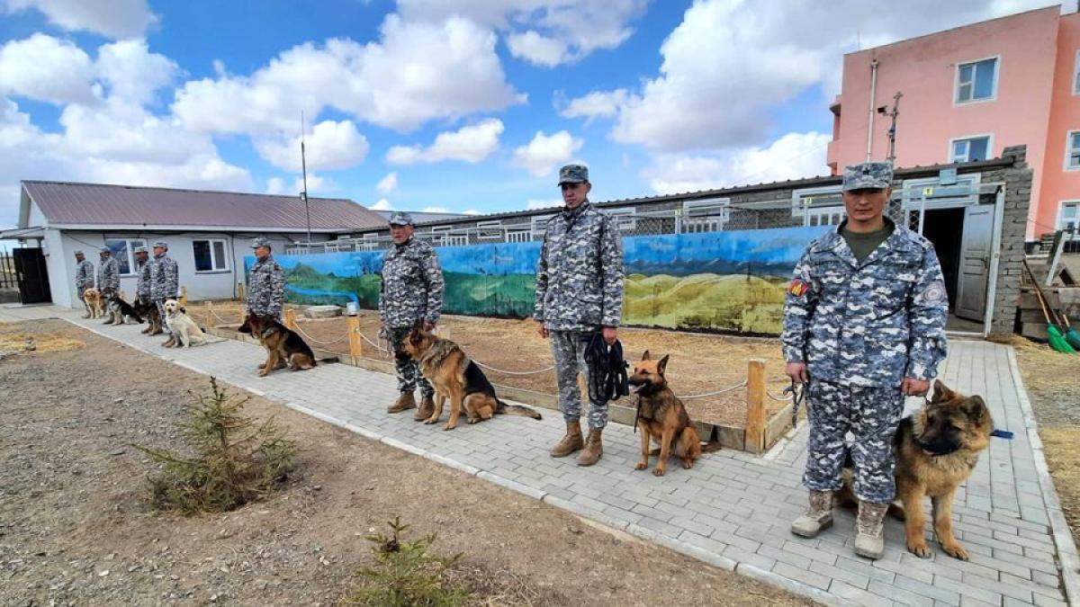 ЭРЭЛЧ НОХОЙН АЛБА БАЙГУУЛАГДСНААР 151 ИРГЭНИЙ АМЬ НАСЫГ АВРААД БАЙНА