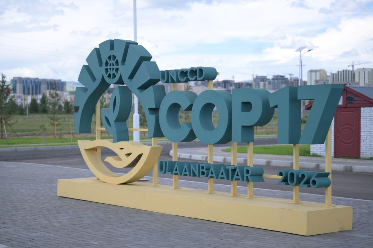 COP17 ХУРЛЫН БЭЛТГЭЛ АЖИЛ 90 ХУВИЙН ГҮЙЦЭТГЭЛТЭЙ БАЙНА