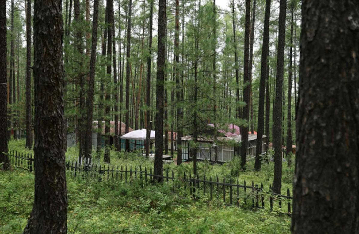 НИЙСЛЭЛИЙН НОГООН БҮСЭД ОЛГОСОН 407 НЭГЖ ТАЛБАРЫН ГАЗРЫН ЗӨВШӨӨРЛИЙГ ЦУЦАЛЛАА
